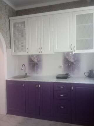 Апартаменты Мира Гагра Апартаменты с 1 спальней-16